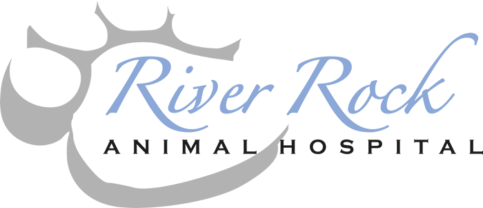 River Rock Animal Hospital Logo